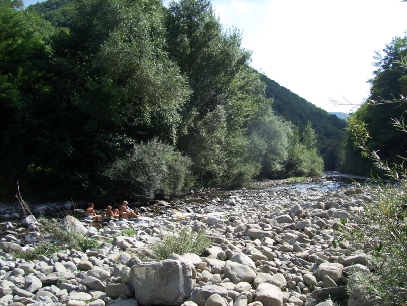  Image name: Parco132.jpg 
 width: 801 pixel 
 height: 602 pixel 
 Size: 490805 bytes 
 Click to enlarge 